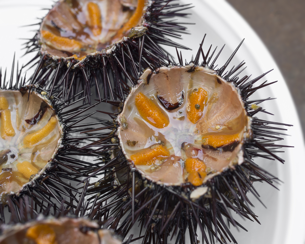  Sea Urchins - A specialty in Sicily.  Buonissimi! 